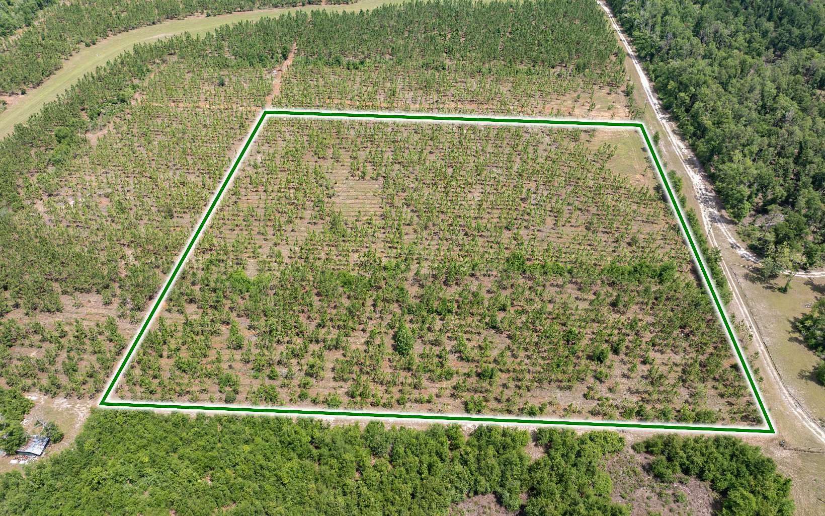 10 Acres of Recreational & Residential Land for Sale in Live Oak, Florida