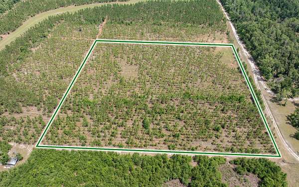 10 Acres of Recreational & Residential Land for Sale in Live Oak, Florida