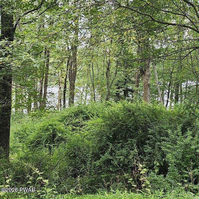 0.96 Acres of Residential Land for Sale in Newfoundland, Pennsylvania