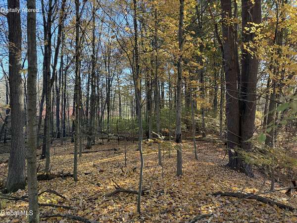 8.13 Acres of Residential Land for Sale in Malta, New York