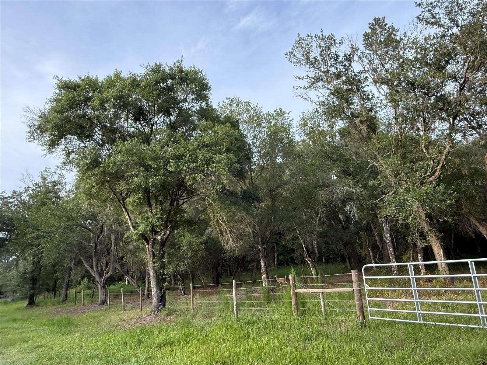 4.69 Acres of Residential Land for Sale in Arcadia, Florida