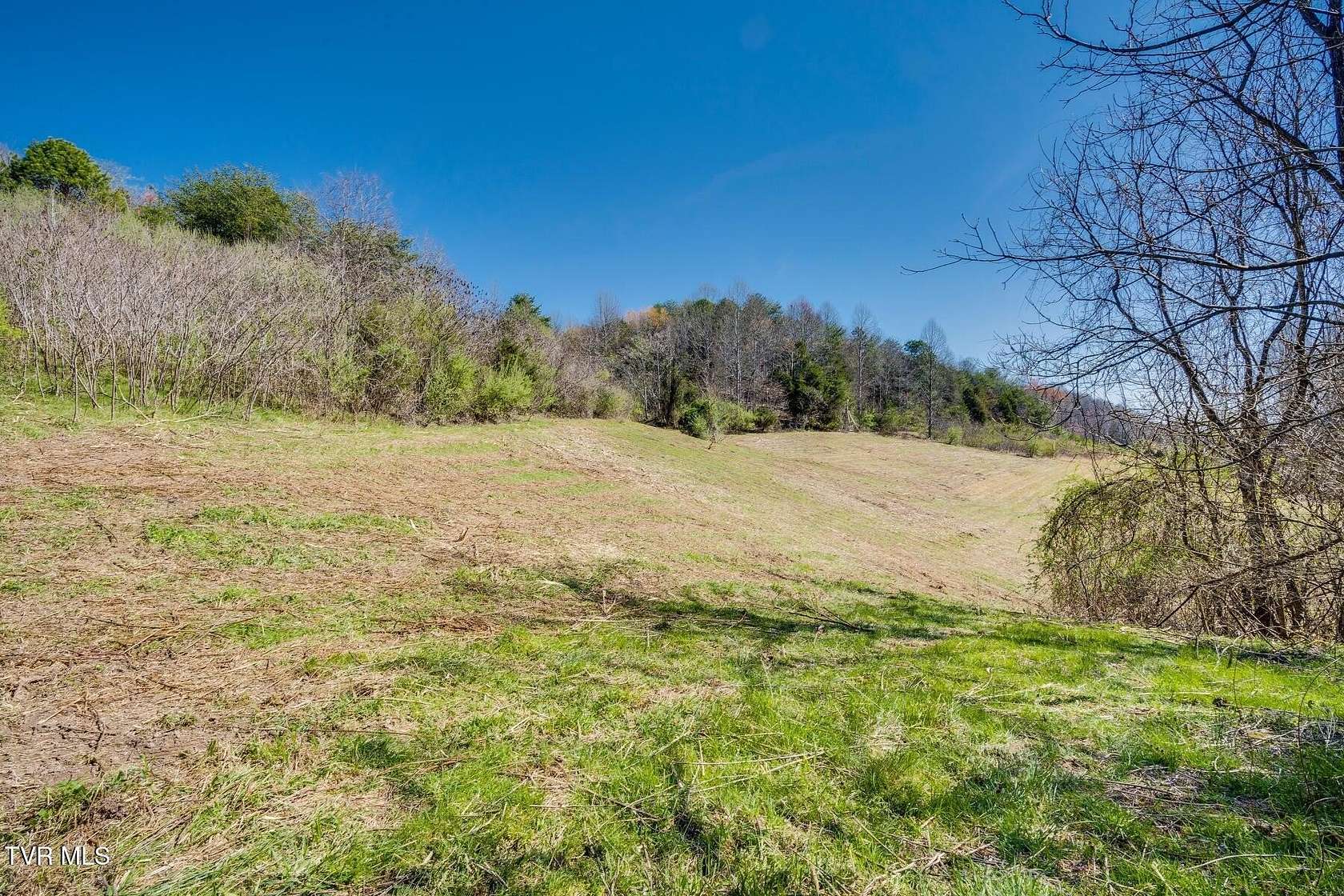 55.6 Acres of Recreational & Residential Land for Sale in Gate City, Virginia