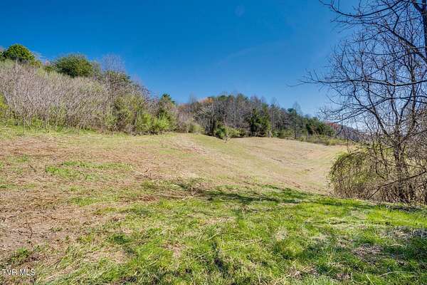 55.6 Acres of Recreational & Residential Land for Sale in Gate City, Virginia
