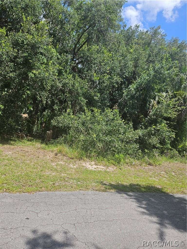 0.35 Acres of Land for Sale in Crystal River, Florida