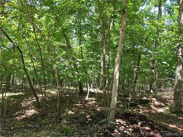 1.17 Acres of Residential Land for Sale in Gravois Mills, Missouri