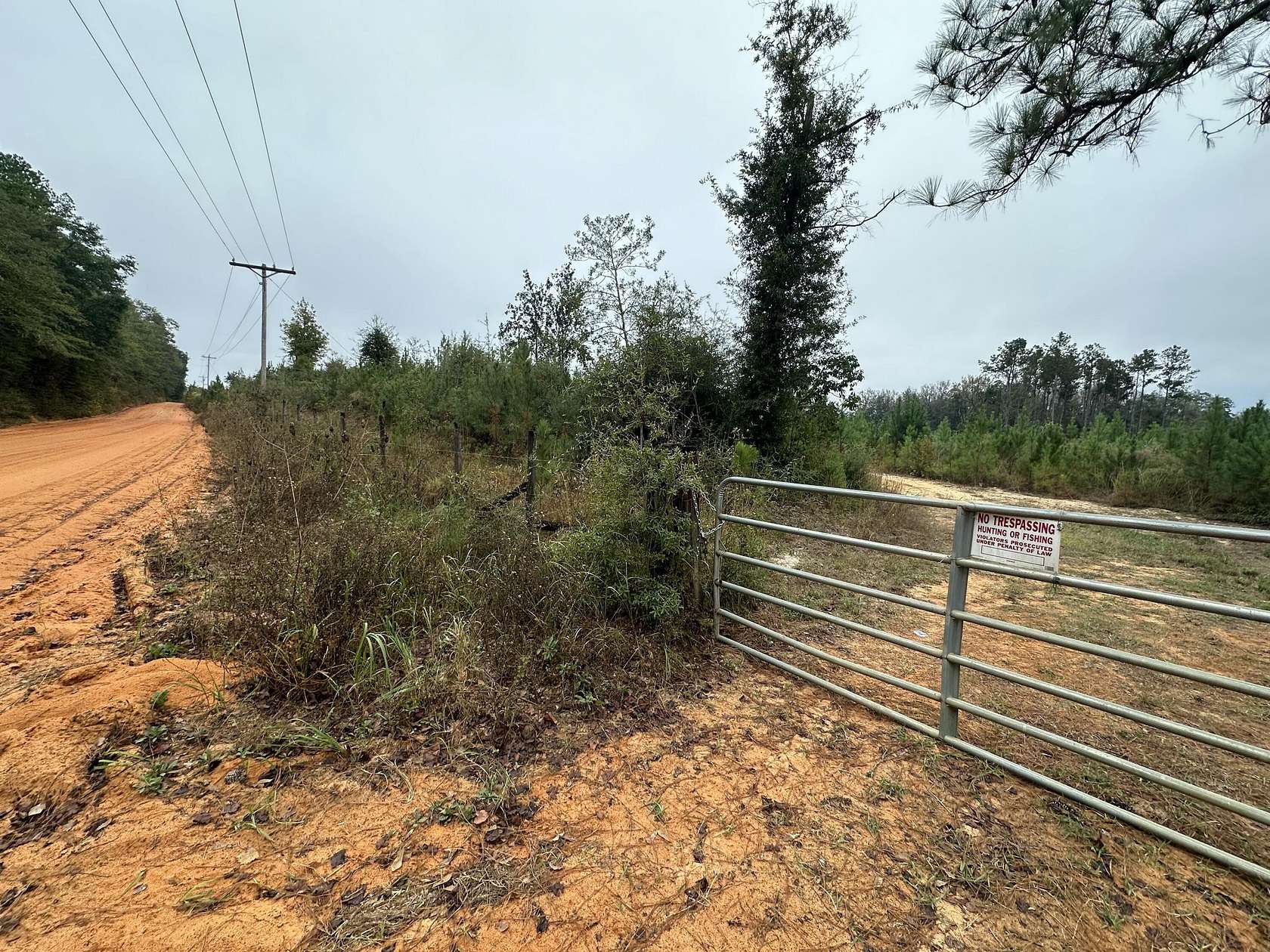 67.2 Acres of Land for Sale in Laurel Hill, Florida