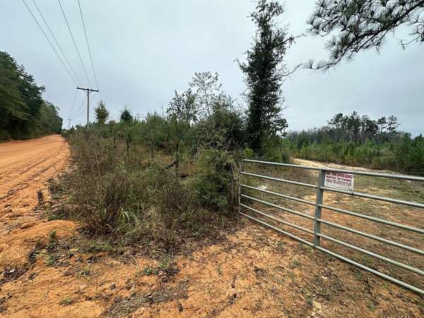 67.2 Acres of Land for Sale in Laurel Hill, Florida