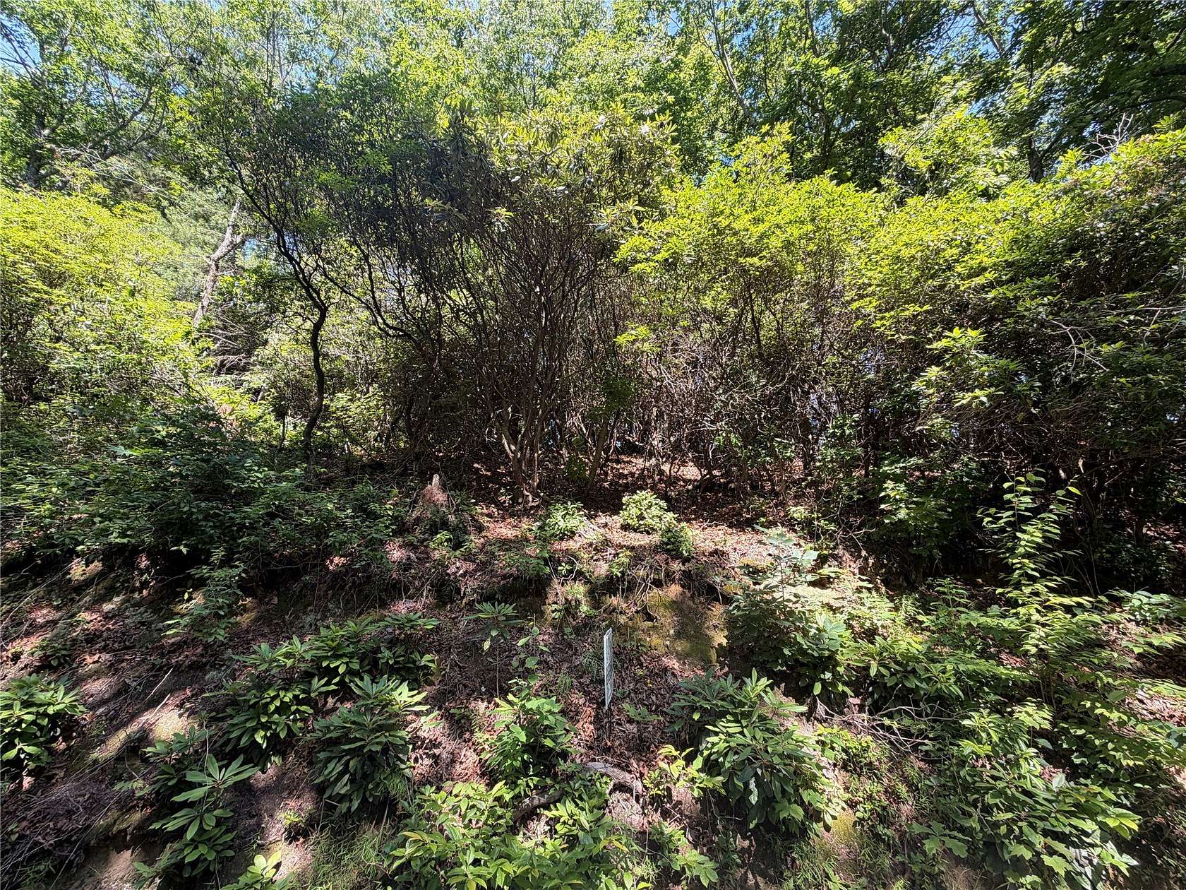 3.45 Acres of Residential Land for Sale in Scaly Mountain, North Carolina