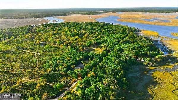 1 Acre of Residential Land for Sale in Shellman Bluff, Georgia