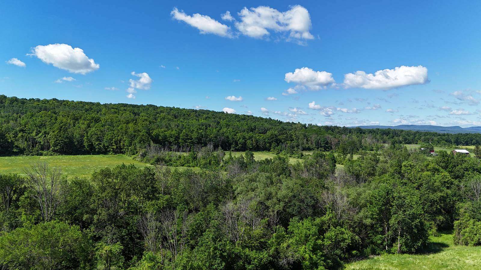 70.9 Acres of Land for Sale in Canajoharie, New York