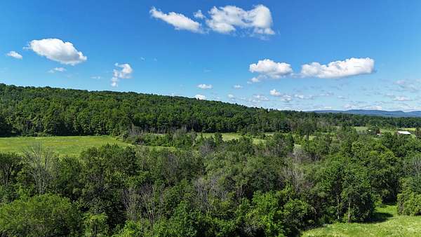 70.9 Acres of Land for Sale in Canajoharie, New York