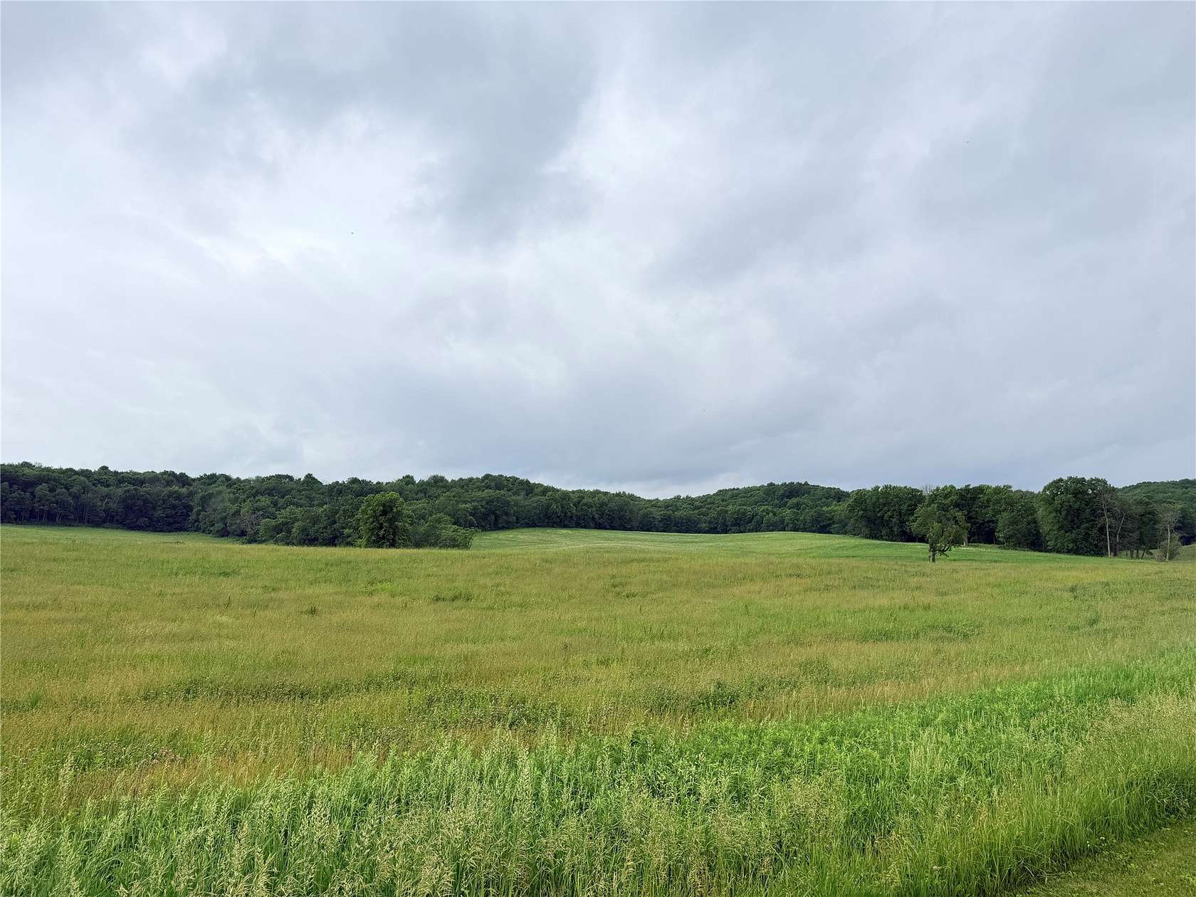 5 Acres of Residential Land for Sale in Fall Creek, Wisconsin