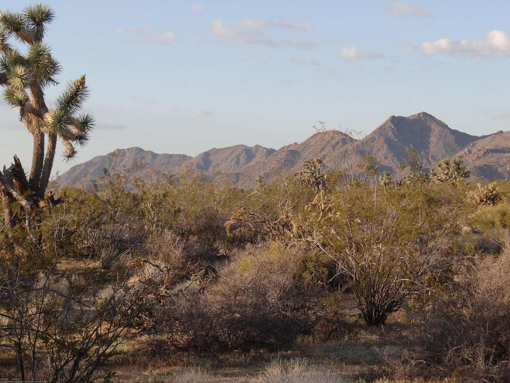 1 Acre of Residential Land for Sale in Yucca, Arizona