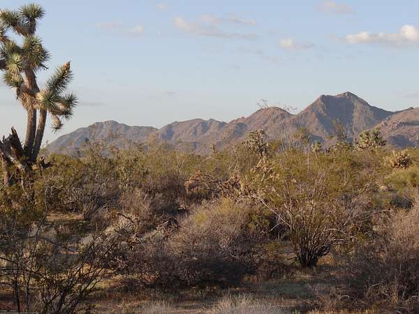 1 Acre of Residential Land for Sale in Yucca, Arizona