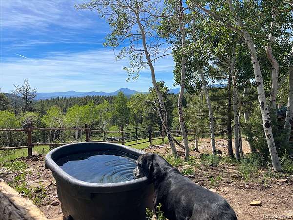 10.4 Acres of Land with Home for Sale in Bailey, Colorado
