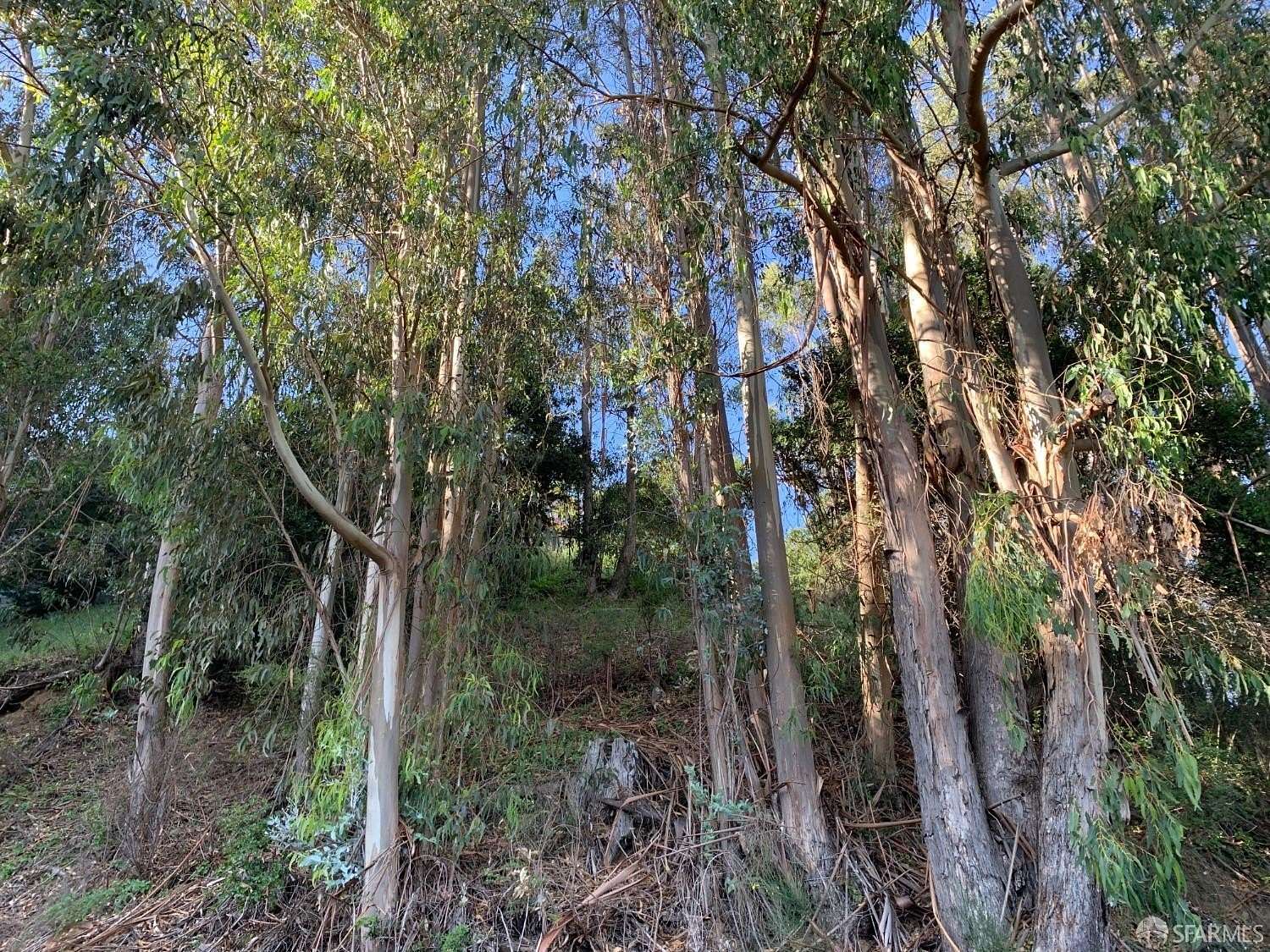 0.14 Acres of Residential Land for Sale in Berkeley, California