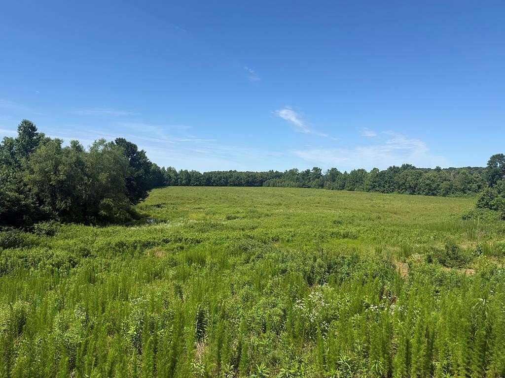 32.5 Acres of Land for Sale in McKenzie, Tennessee