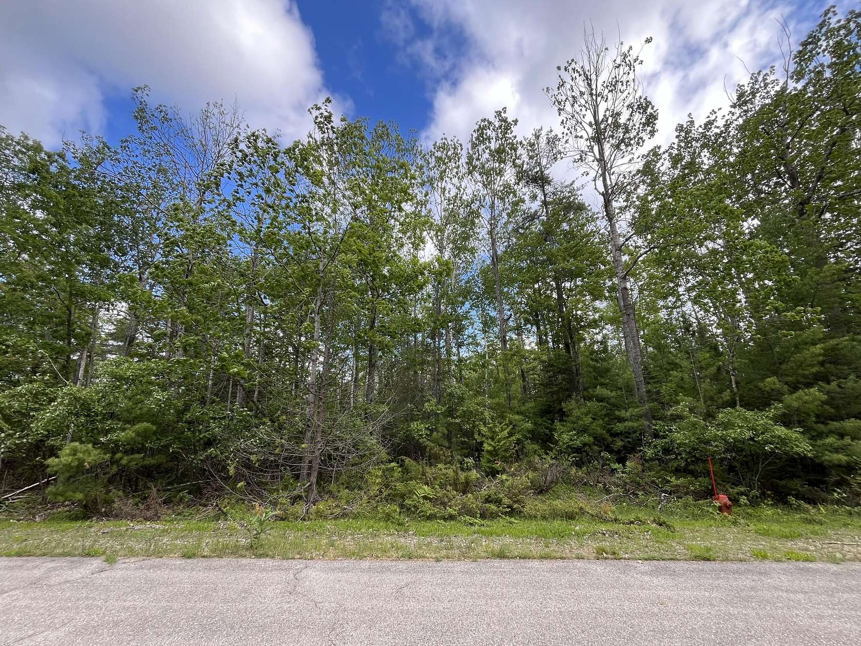 0.36 Acres of Residential Land for Sale in Presque Isle, Michigan