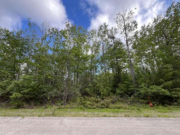 0.36 Acres of Residential Land for Sale in Presque Isle, Michigan