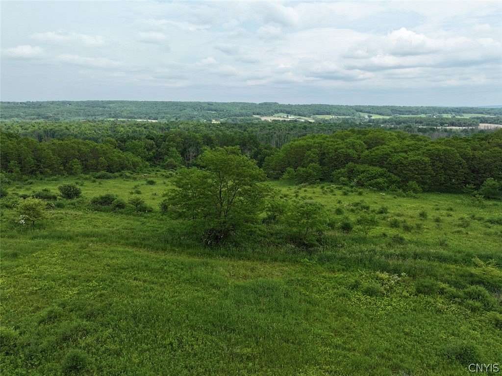 24.5 Acres of Recreational & Residential Land for Sale in South Dayton, New York