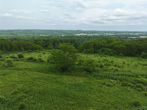 24.5 Acres of Recreational & Residential Land for Sale in South Dayton, New York