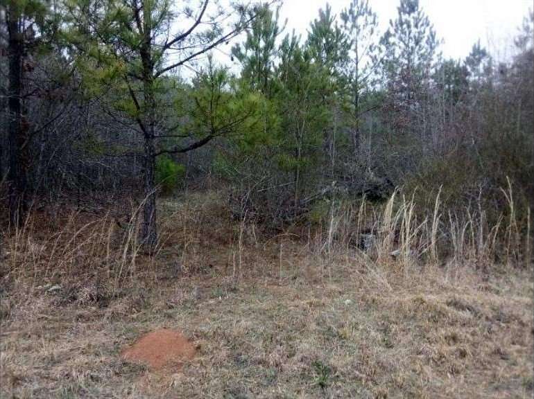 0.4 Acres of Land for Sale in Woodbury, Georgia