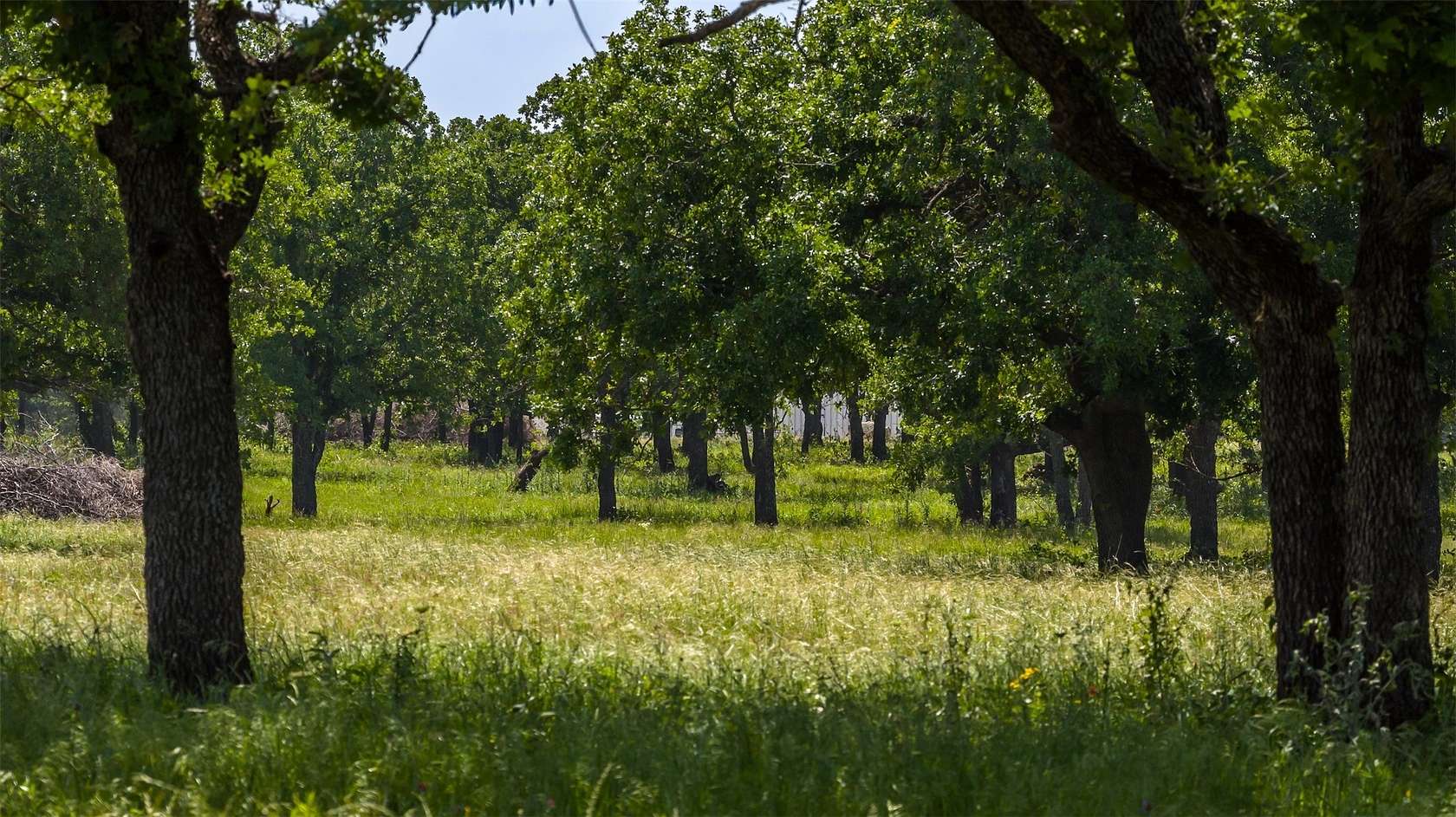 30 Acres of Land for Sale in Gordon, Texas