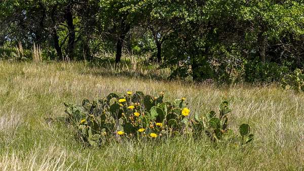 30 Acres of Land for Sale in Gordon, Texas