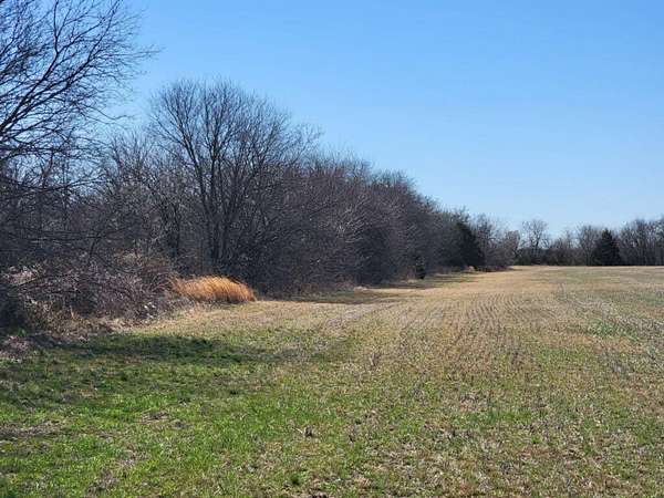 20 Acres of Land for Sale in Tioga, Texas