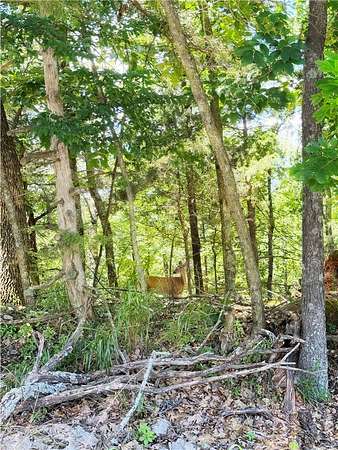 0.25 Acres of Residential Land for Sale in Garfield, Arkansas
