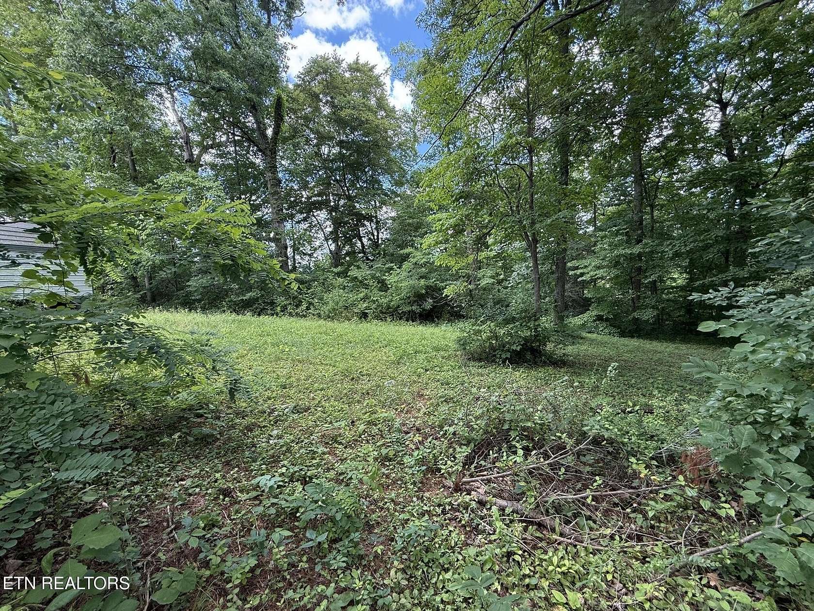 0.69 Acres of Residential Land for Sale in La Follette, Tennessee