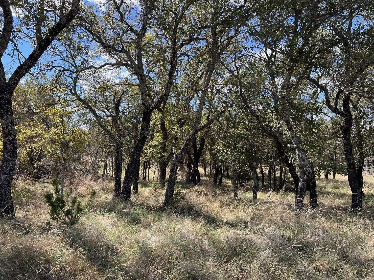 0.75 Acres of Residential Land for Sale in Brownwood, Texas