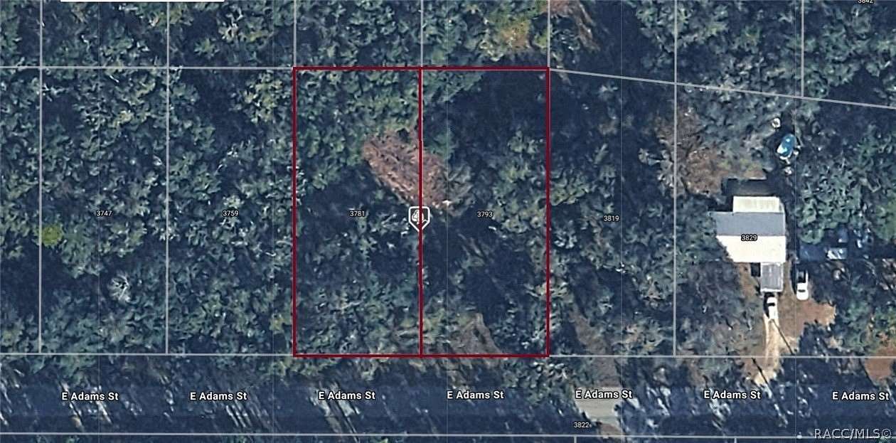 0.66 Acres of Land for Sale in Hernando, Florida