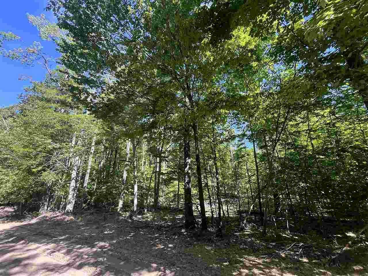 20 Acres of Recreational & Residential Land for Sale in Boyne Falls, Michigan