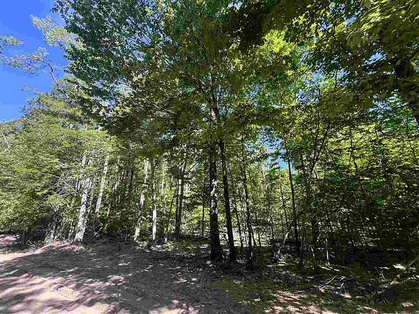20 Acres of Recreational & Residential Land for Sale in Boyne Falls, Michigan