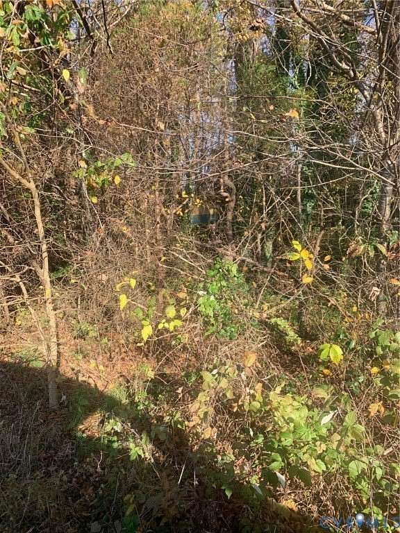 6.29 Acres of Land for Sale in Prince George, Virginia