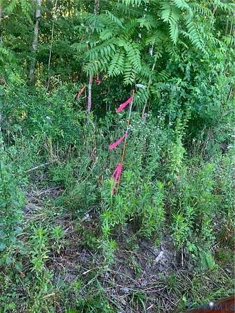 6.29 Acres of Land for Sale in Prince George, Virginia