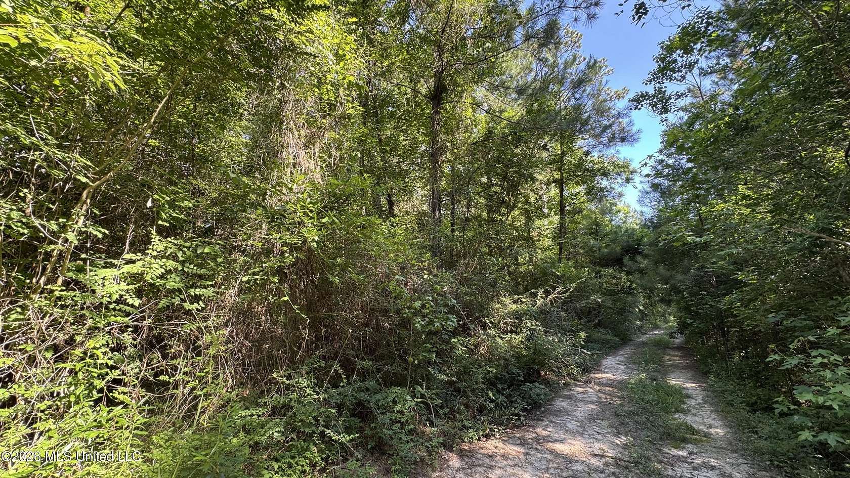 0.17 Acres of Residential Land for Sale in Biloxi, Mississippi