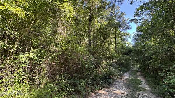 0.17 Acres of Residential Land for Sale in Biloxi, Mississippi