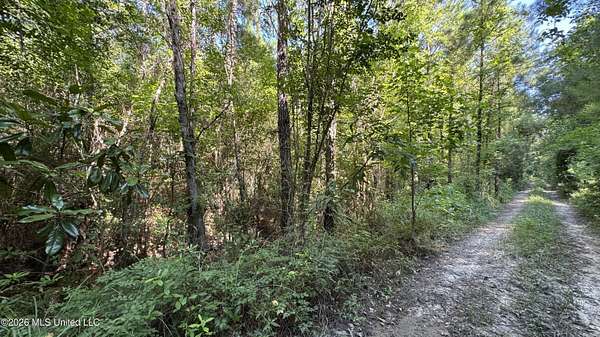 0.51 Acres of Residential Land for Sale in Biloxi, Mississippi