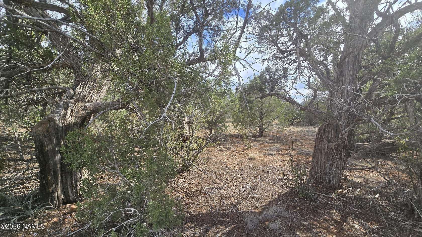 4.32 Acres of Residential Land for Sale in Williams, Arizona