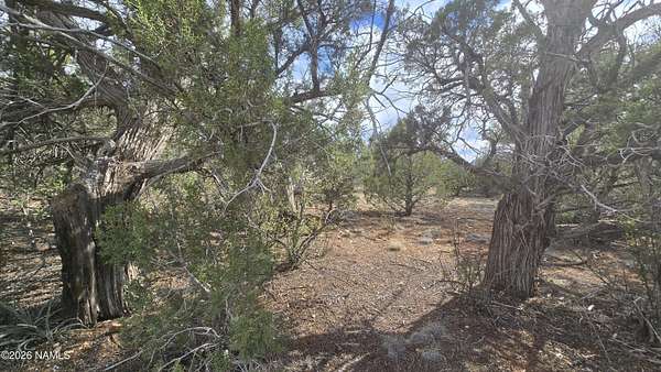 4.32 Acres of Residential Land for Sale in Williams, Arizona