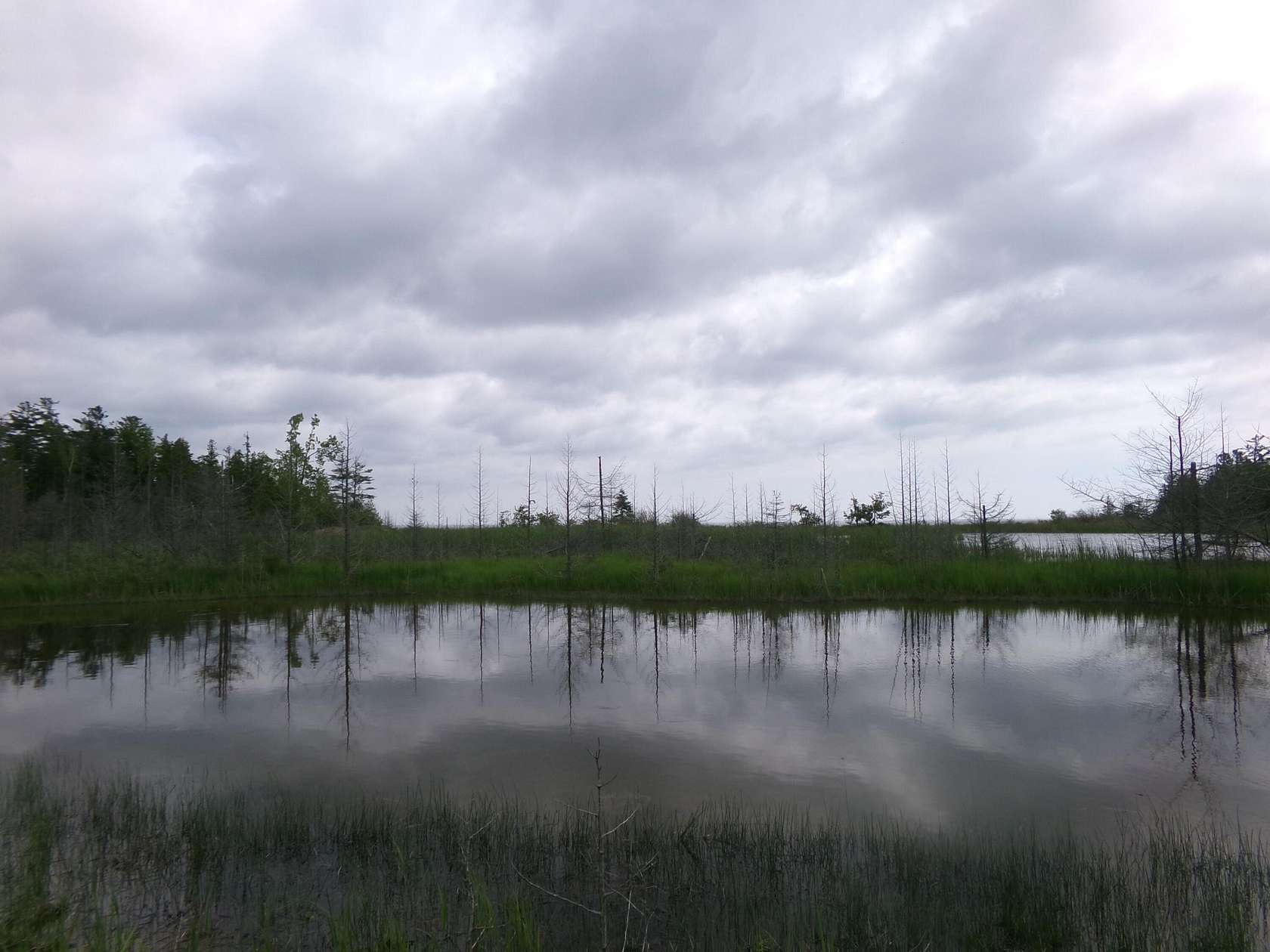 0.7 Acres of Residential Land for Sale in Alpena, Michigan