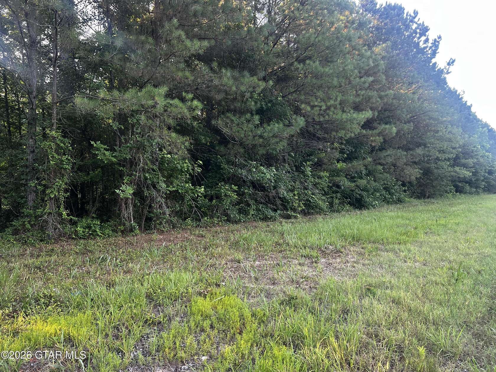 2 Acres of Residential Land for Sale in Steens, Mississippi