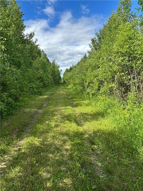 320 Acres of Recreational Land for Sale in Sandstone, Minnesota