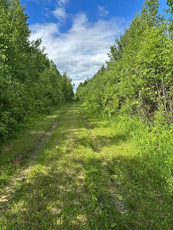 320 Acres of Recreational Land for Sale in Sandstone, Minnesota