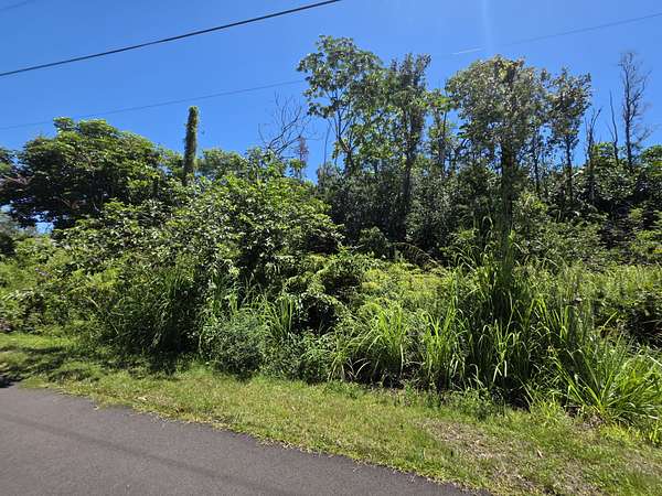0.35 Acres of Land for Sale in Pahoa, Hawaii