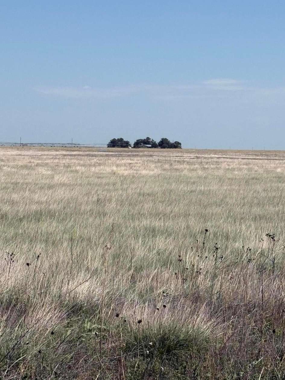 320 Acres of Land for Sale in Guymon, Oklahoma