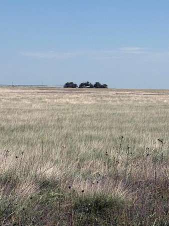 320 Acres of Land for Sale in Guymon, Oklahoma