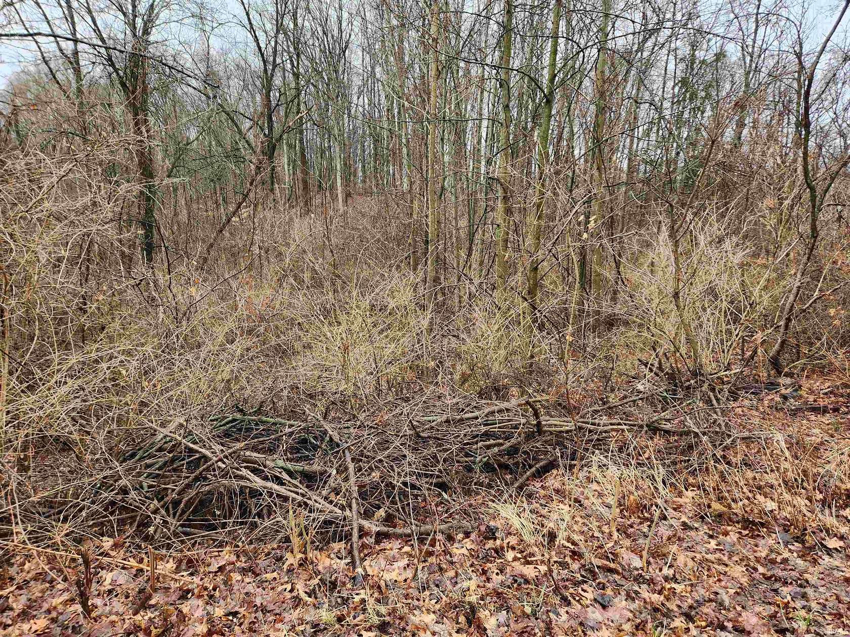 0.36 Acres of Land for Sale in Syracuse, Indiana